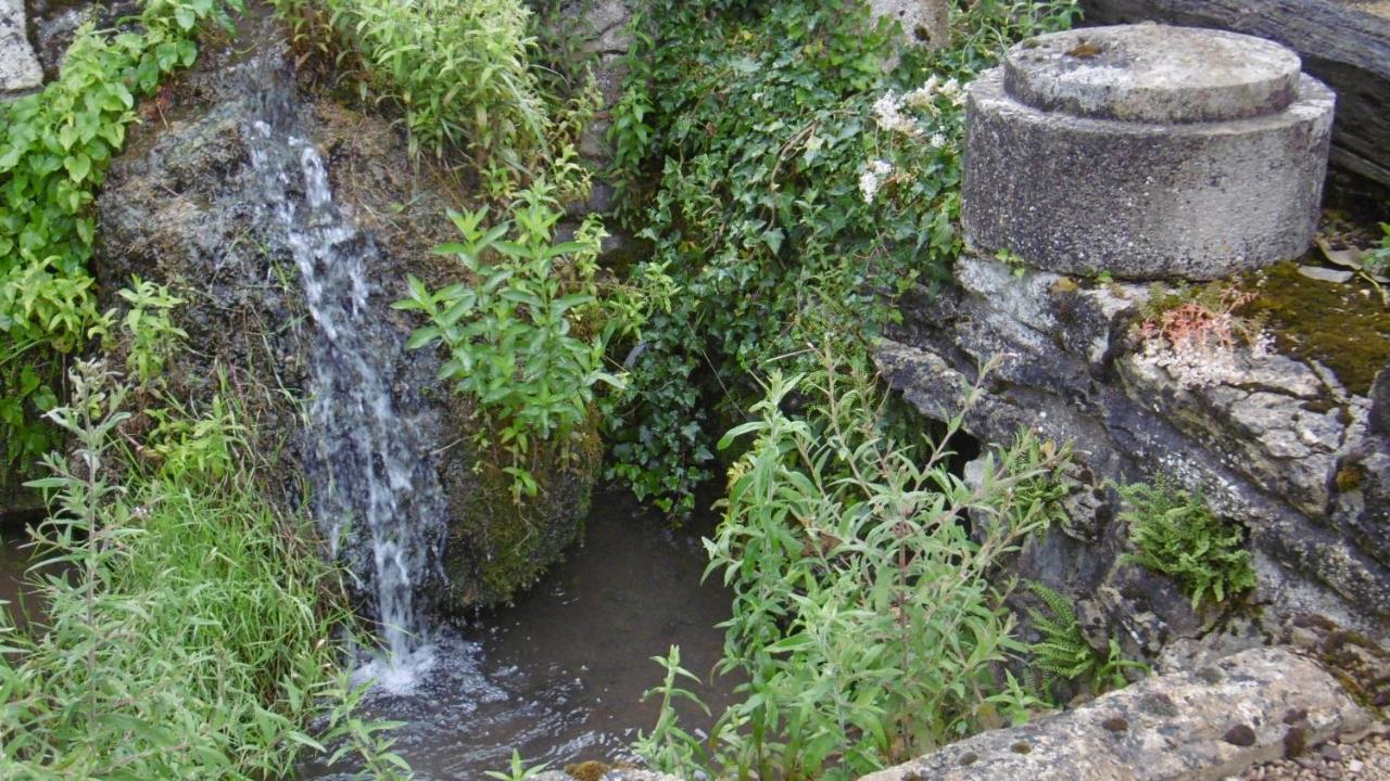 Gite Ancien Lavoir Viserny Екстериор снимка